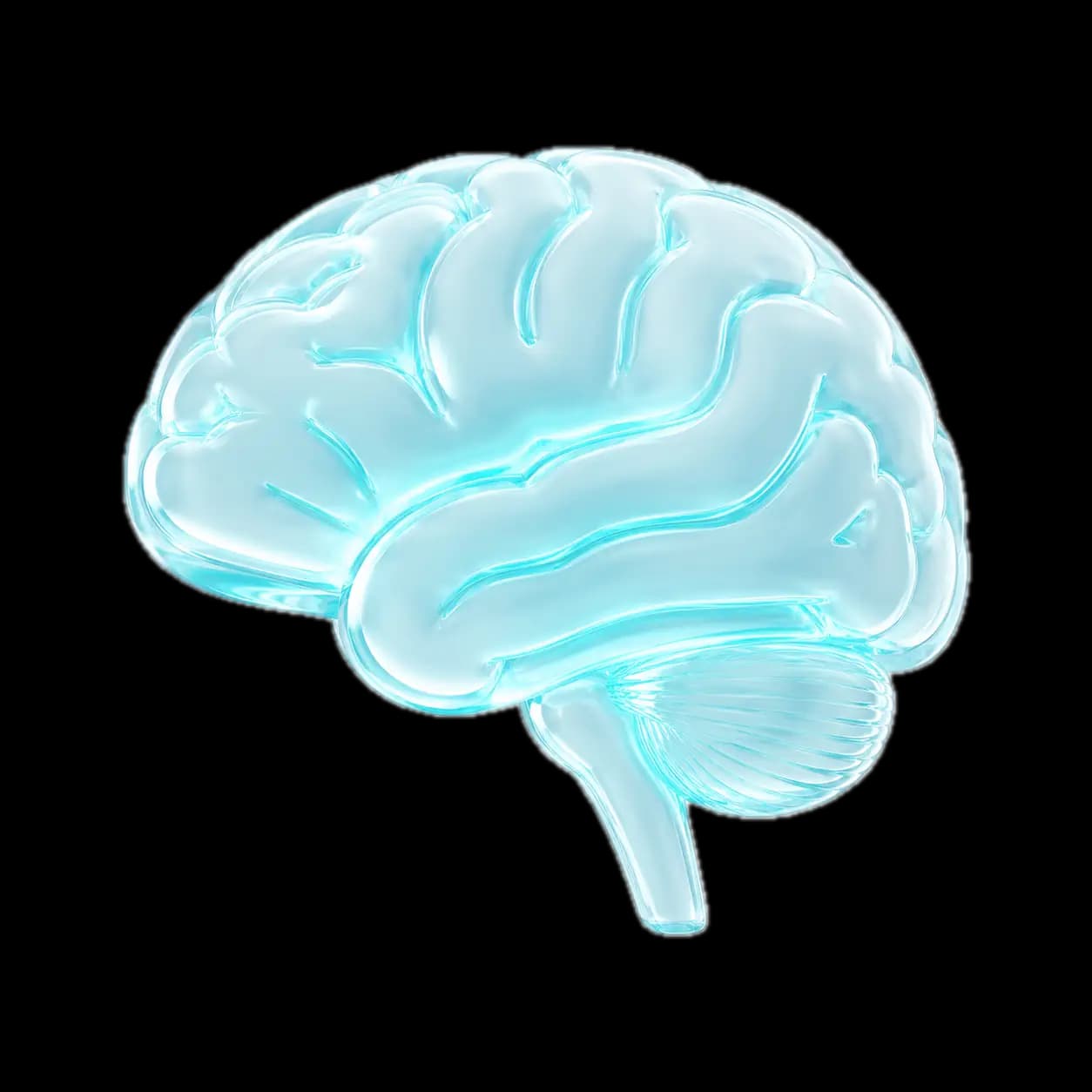 Glass Brain